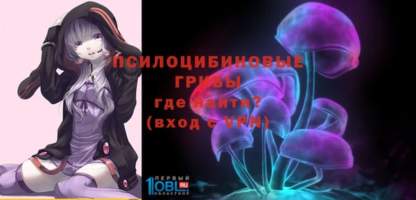 крисы Вязники