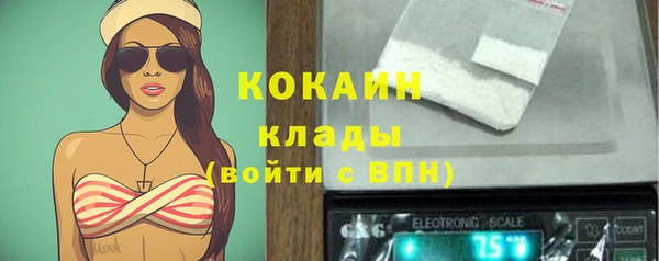 молекула духа Вяземский