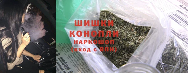молекула духа Вяземский